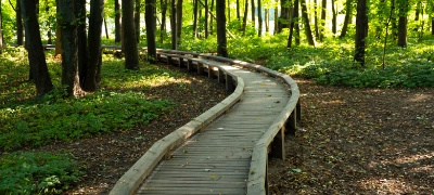 MOOC S'organiser ensemble MOOC S'organiser ensemble